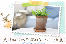 受け皿に水を溜めないよう注意!