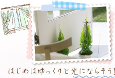 はじめはゆっくりと光にならそう！