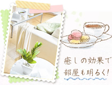 癒しの効果で部屋も明るく!