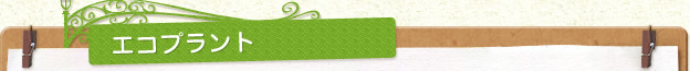 エコプラント
