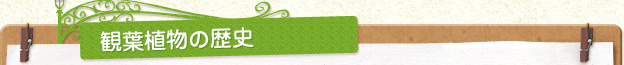 観葉植物の歴史