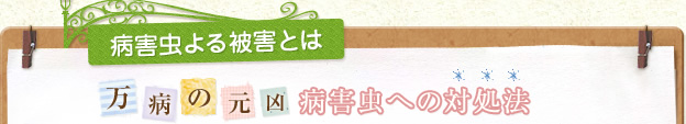 病害虫よる被害とは 万病の元凶 病害虫への対処法