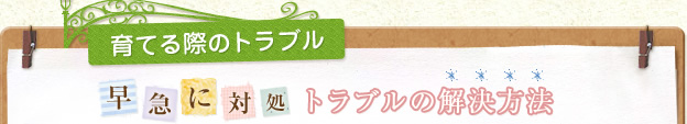 育てる際のトラブル 早急に対処 トラブルの解決方法
