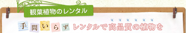 観葉植物のレンタル 手間いらず レンタルで高品質の植物を